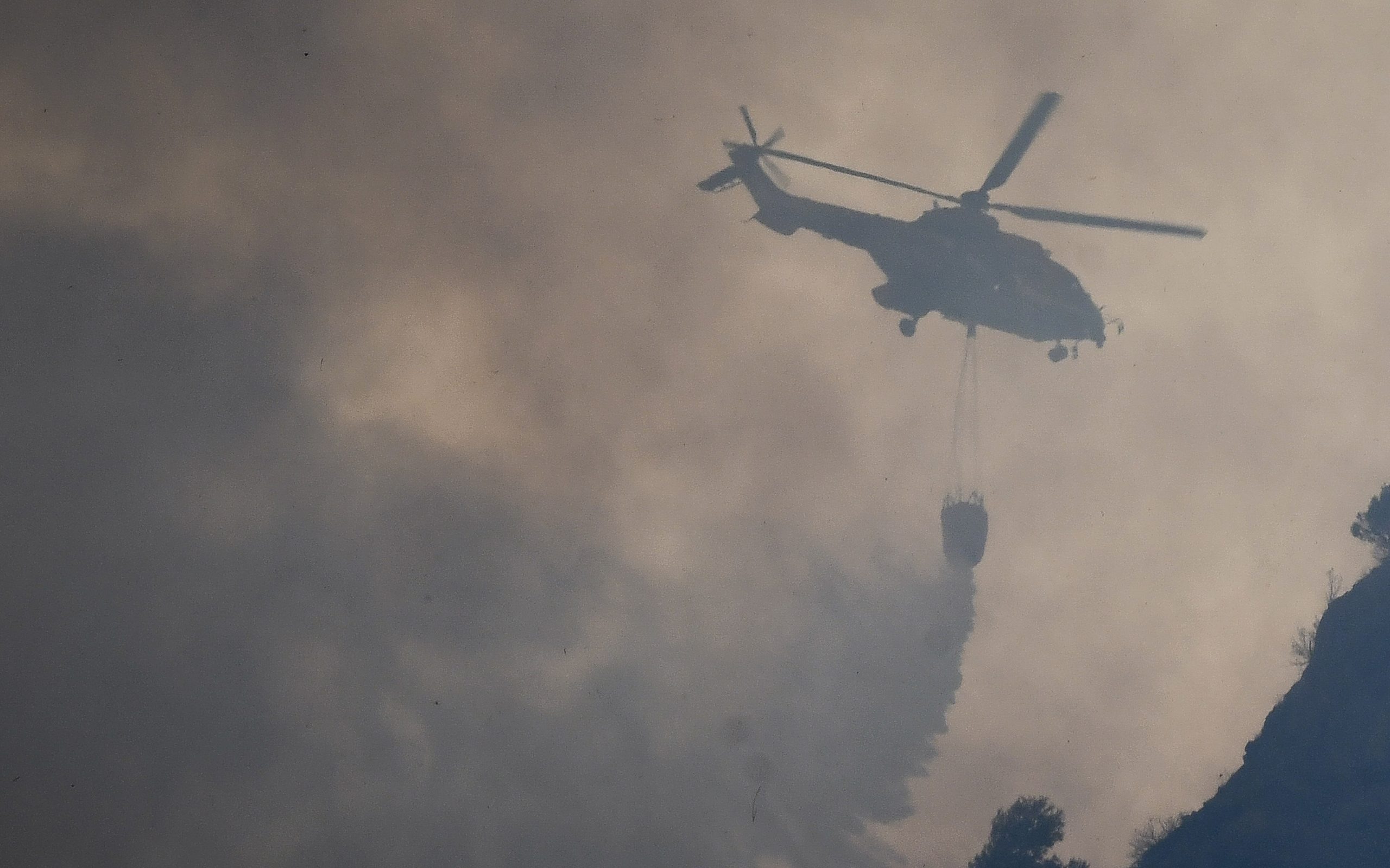 ηλεία-σε-δύο-μέτωπα-η-μάχη-με-τις-φλόγε-2268496