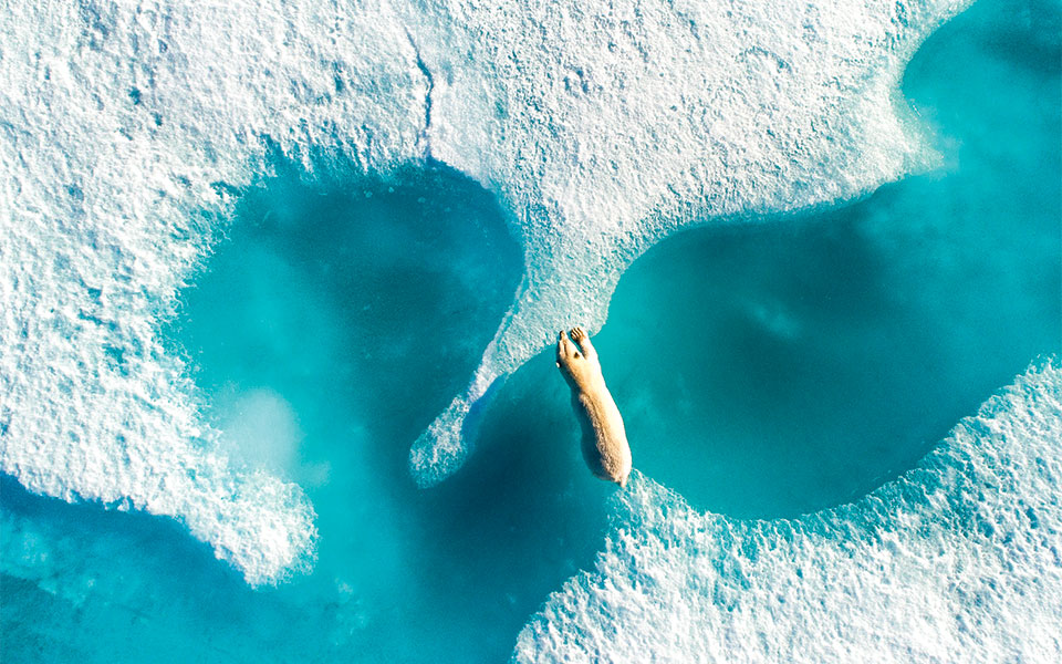 aπό-ψηλά-είναι-αλλιώς-2265651