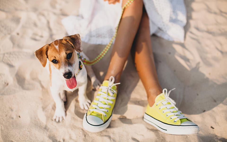 τον-αύγουστο-δεν-υπάρχουν-ειδήσεις-2267844