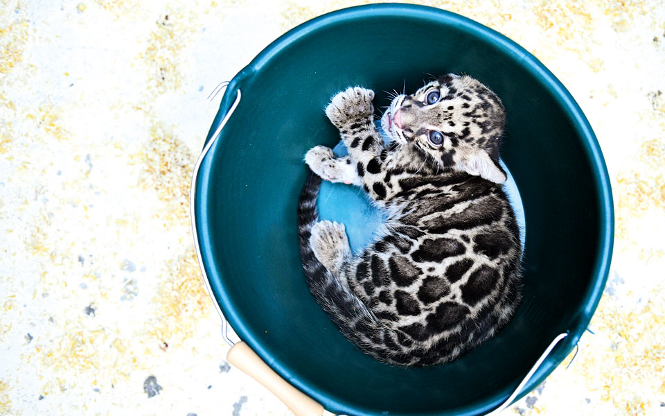 μιλουζ-γαλλία-2274372