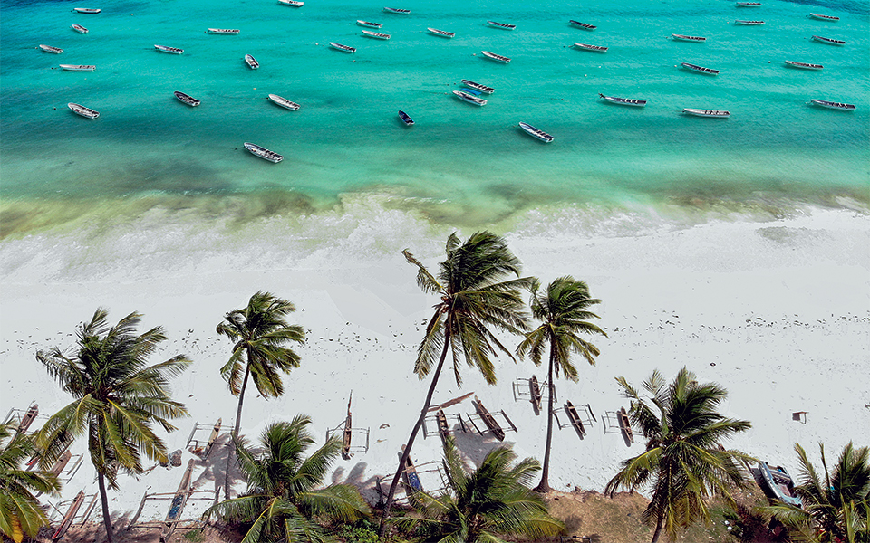 πιο-εξωτικά-δεν-γίνεται-2270820