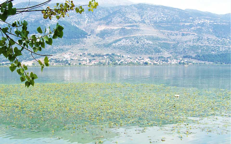 λιμνάζουν-τα-προβλήματα-στην-παμβώ-2271494