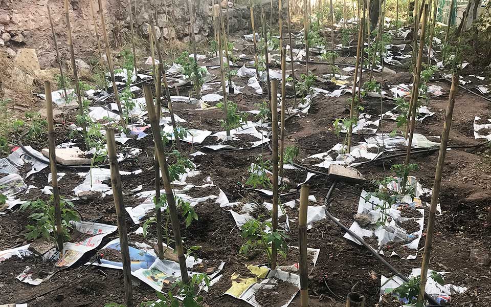 η-αμφισσα-της-σύγχρονης-τέχνης-2272707