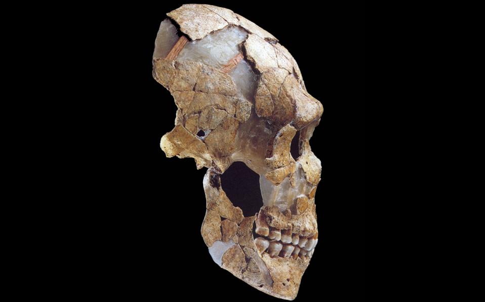 νέα-στοιχεία-για-τους-νεάντερταλ-αποκ-2274886