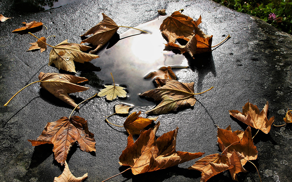 απότομη-είσοδος-του-φθινοπώρου-από-τη-2274310