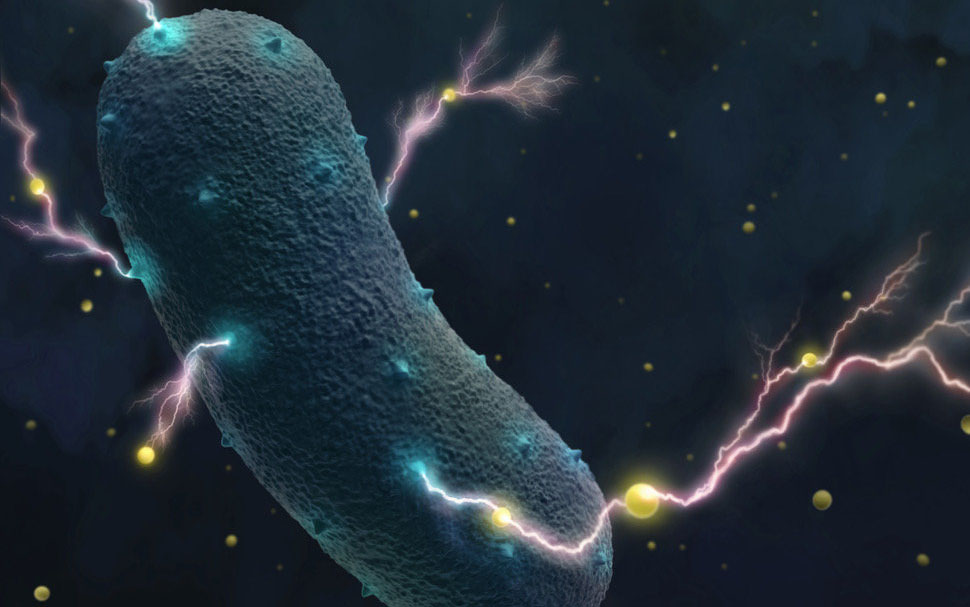 το-μυστικό-των-βακτηρίων-του-εντέρου-π-2272423