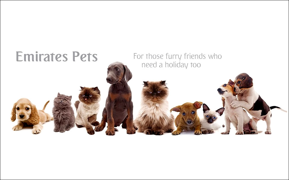 για-τετράποδους-επιβάτες-2271115