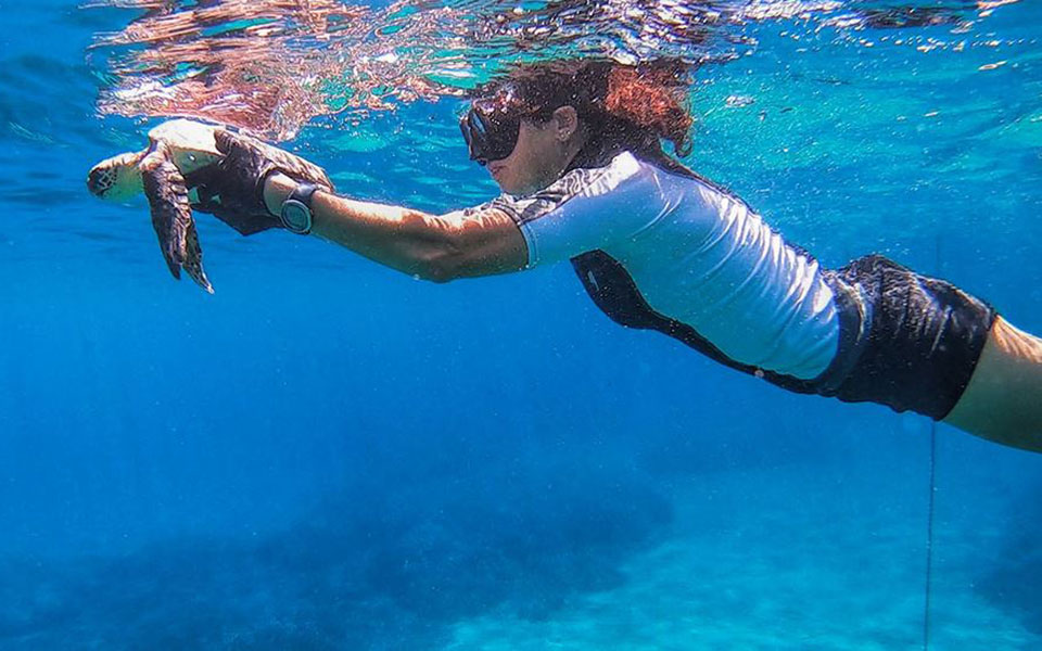 διέσωσαν-θαλάσσια-χελώνα-που-είχε-τρα-2274347