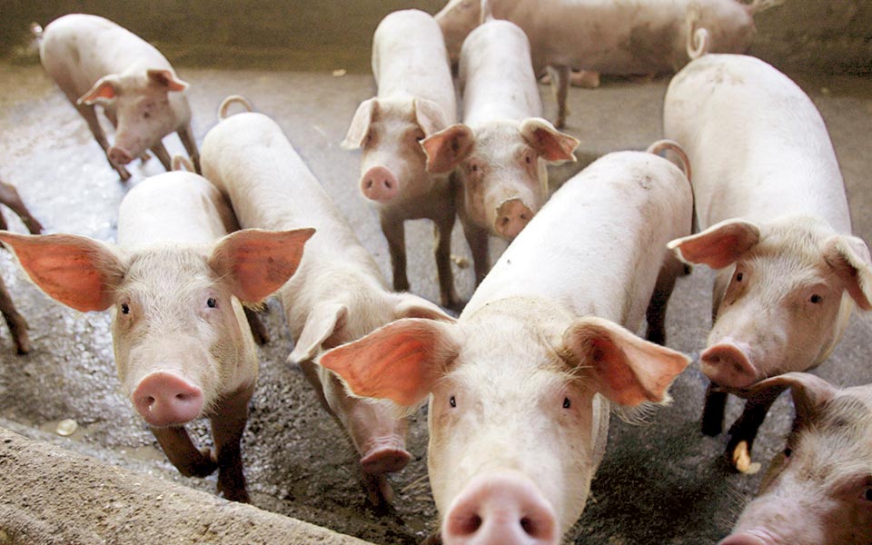 συναγερμός-στη-γαλλία-για-δύο-κρούσμα-2272589