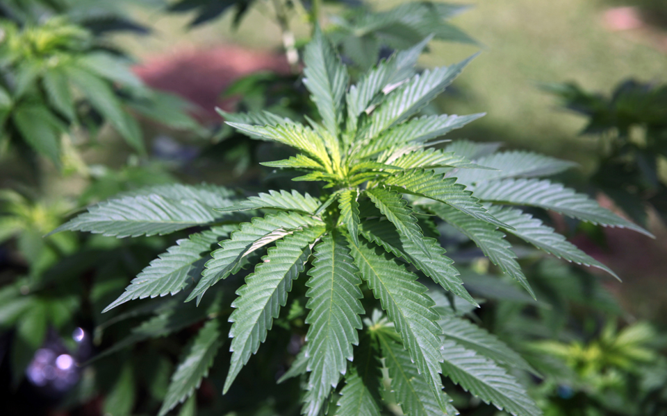 εταιρεία-στον-καναδά-προσλαμβάνει-ε-2273852