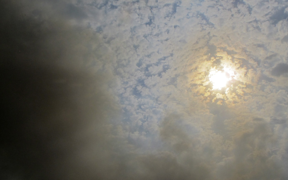 θεσσαλονίκη-πυρκαγιά-σε-έκταση-στα-δι-2273067