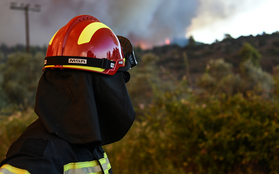 πυροσβέστες-διέσωσαν-σκύλο-από-φλεγό-2273274