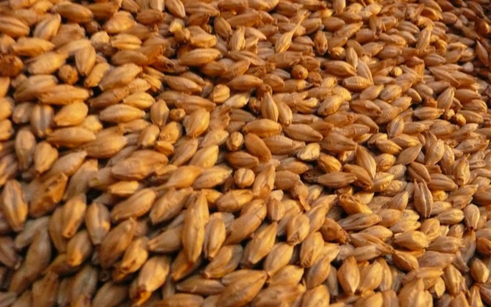 σε-σπήλαιο-του-ισραήλ-ανακαλύφθηκε-η-α-2272575