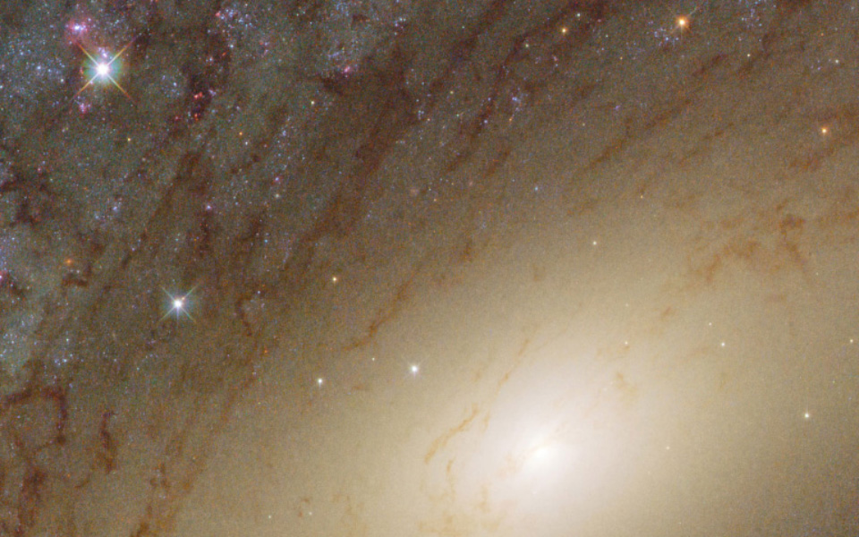 η-nissan-στην-έκθεση-επαγγελματικού-αυτοκι-2273005