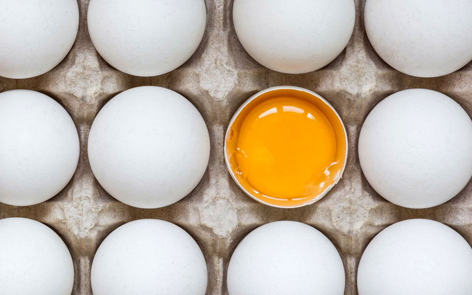 το-αυγό-από-το-α-έως-το-ω-2274546