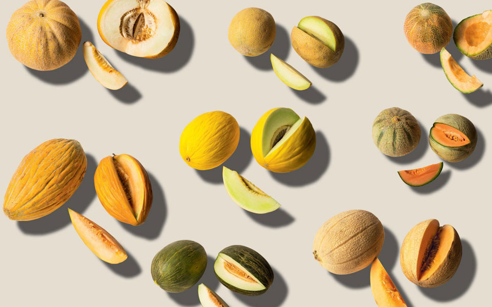 εσείς-ξέρατε-οτι-υπάρχουν-τόσα-πεπόνι-2271328