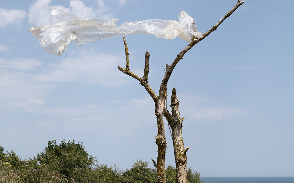 ημέρα-εθελοντικού-καθαρισμού-από-την-ori-2272451