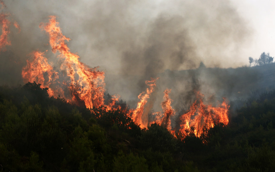 εκθεση-κομισιόν-16-εκατ-στρέμματα-έχου-2274025
