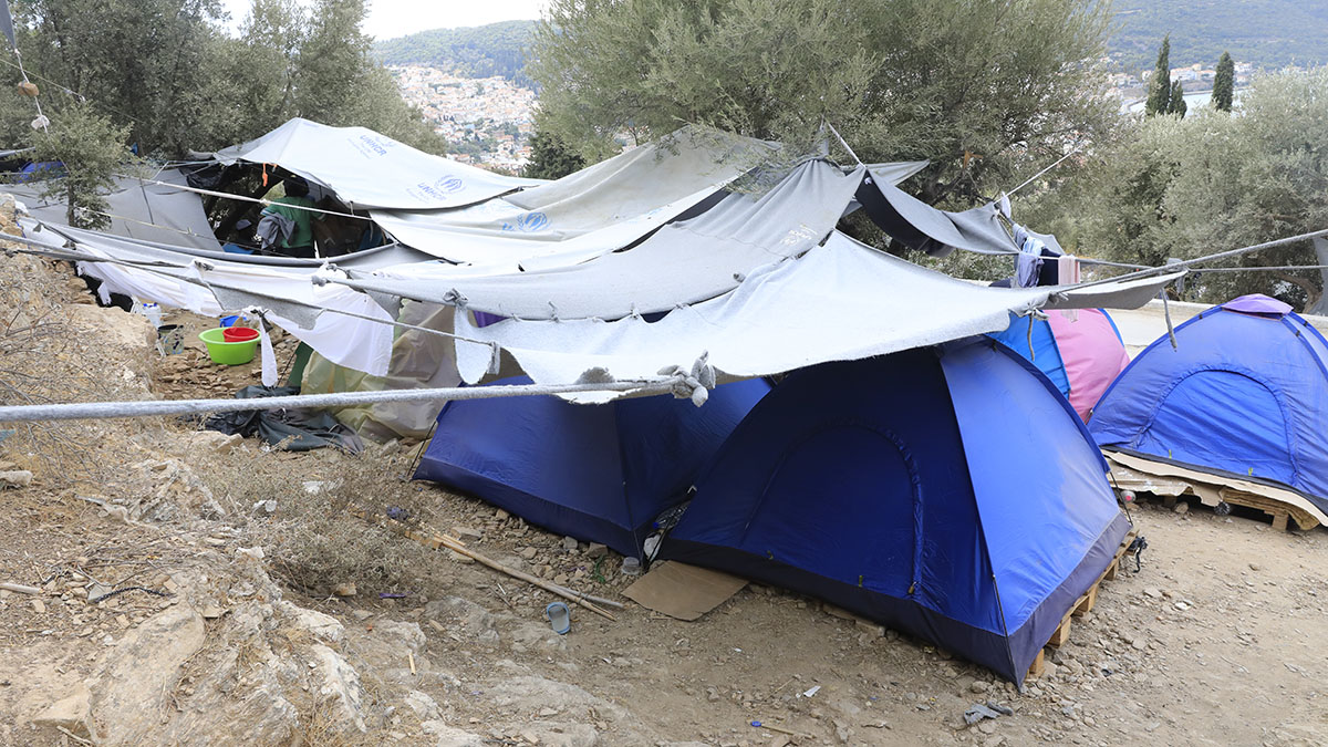 η-άλλη-μόρια-2275576