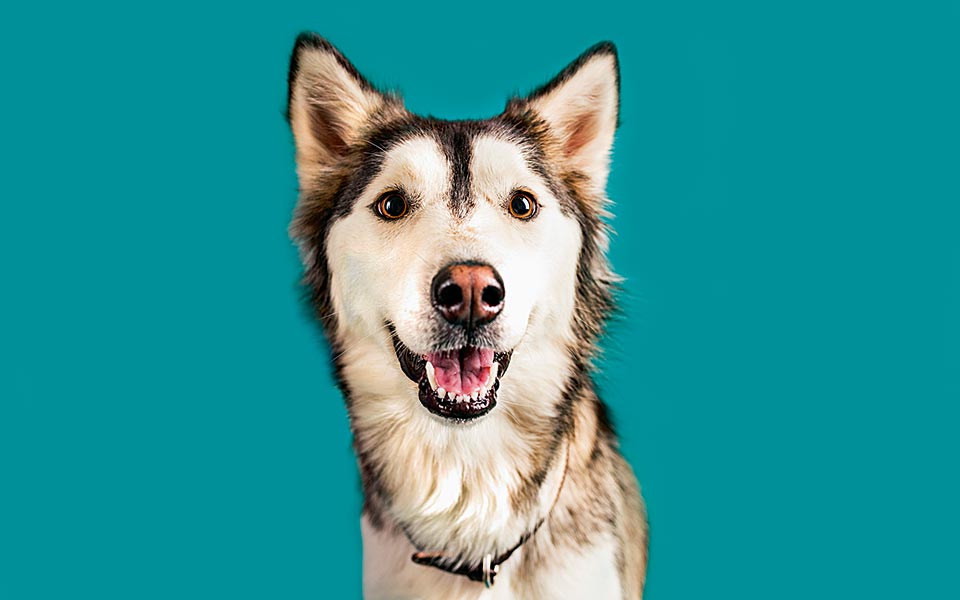 πάρτε-το-εκατό-2271552