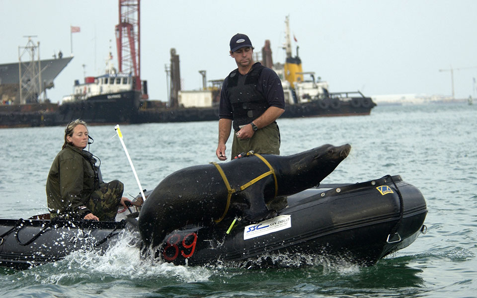 ηπα-επιστήμονες-προσπαθούν-να-βοηθήσ-2270774