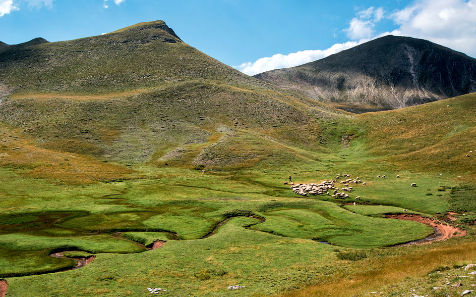 ταξίδι-για-μικρούς-ήρωες-2272719