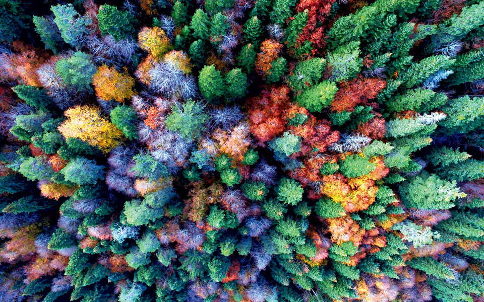 ντούζτζε-τουρκία-2280283