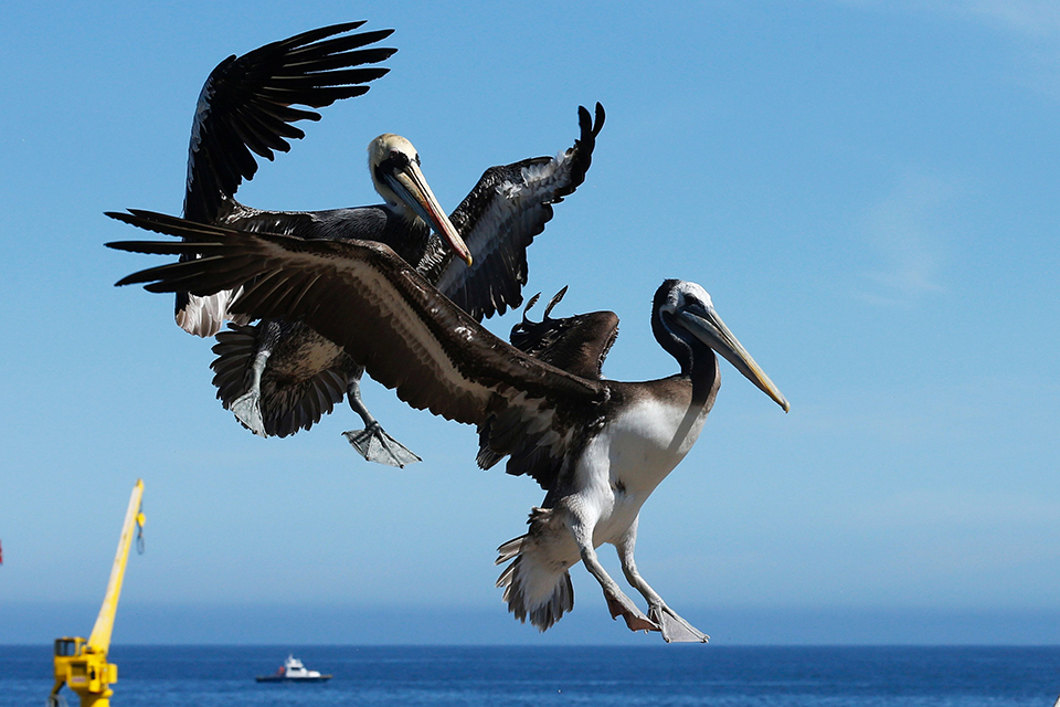 φωτογραφήματα-2280959