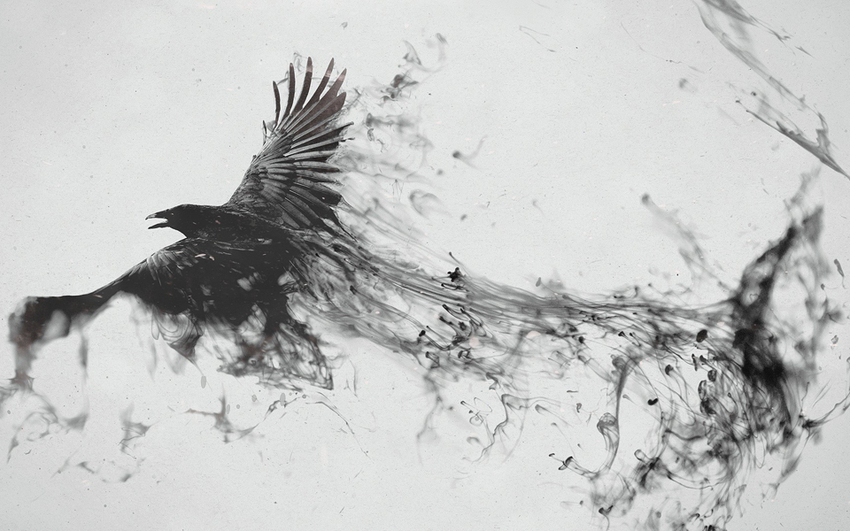 το-μαύρο-πουλί-της-απώλειας-2279080