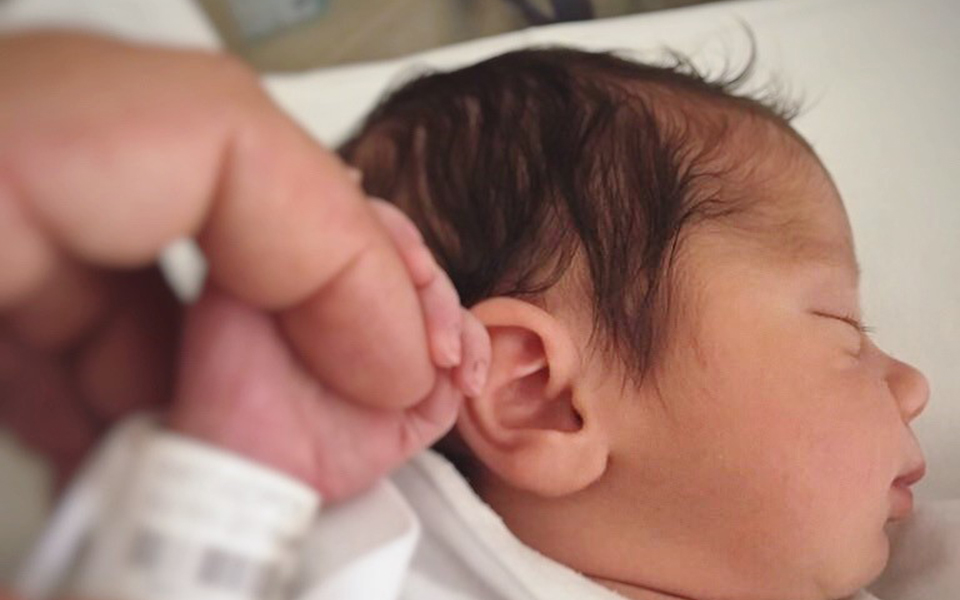 hopegenesis-πρωτοβουλία-που-βοηθάει-τον-πελαρ-2278399