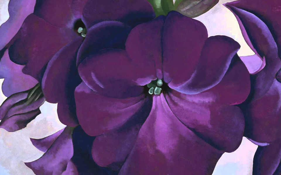 ενα-κορίτσι-μετράει-τα-άνθη-2278575