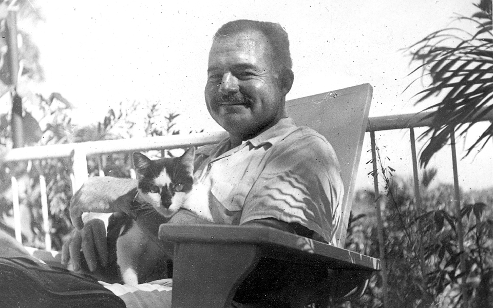 οταν-κάτι-τελειώνει-ή-το-τέλος-κάπο-2279057