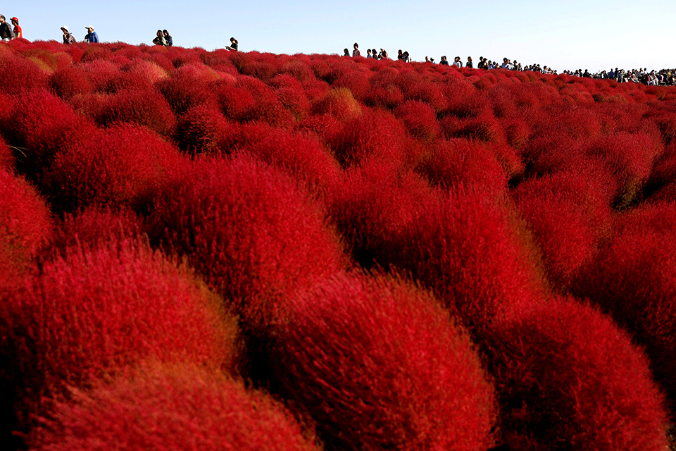 φωτογραφήματα-2279523