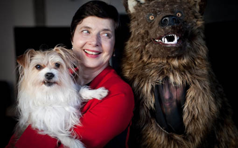 η-πολιτιστική-ατζέντα-του-σαββάτου-2279152