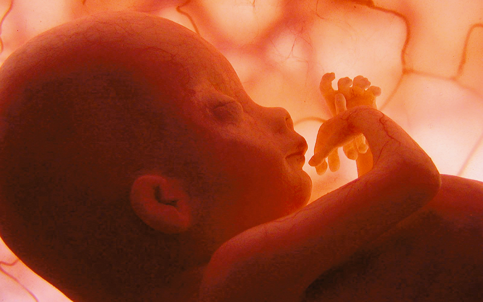 ενδομήτρια-επέμβαση-2280029