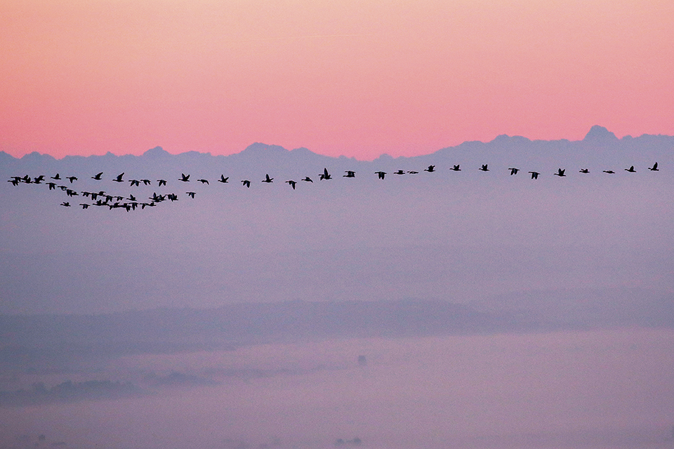 φωτογραφήματα-2277815