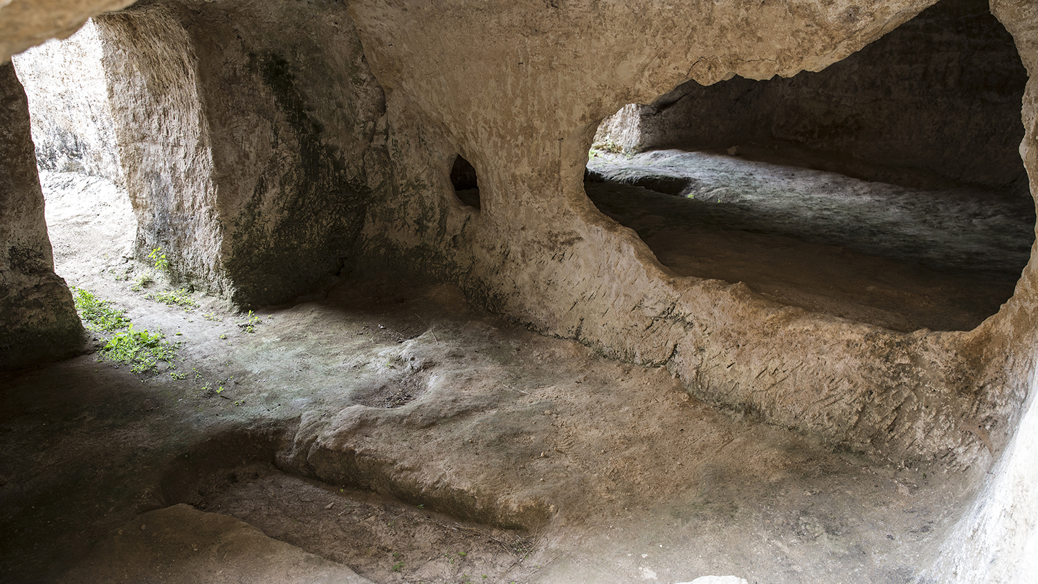 ο-θησαυρός-των-αηδονιών-2275663