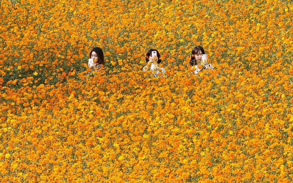 σεούλ-νότια-κορέα-2279451