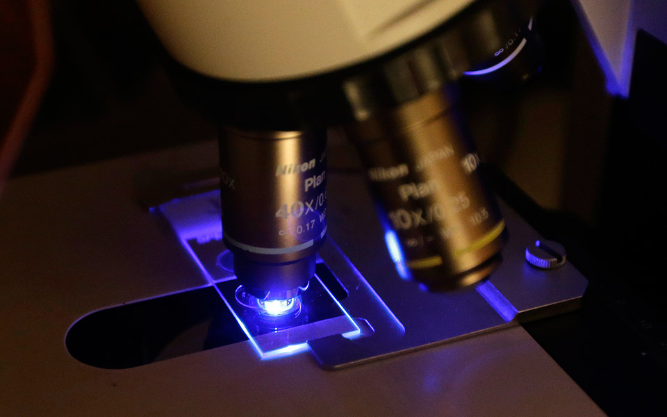 μια-κιβωτό-του-νώε-για-όλα-τα-είδη-μικ-2276449