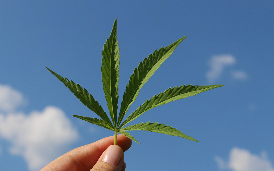 πιο-επιβλαβής-η-κάνναβη-για-τον-εγκέφα-2276201