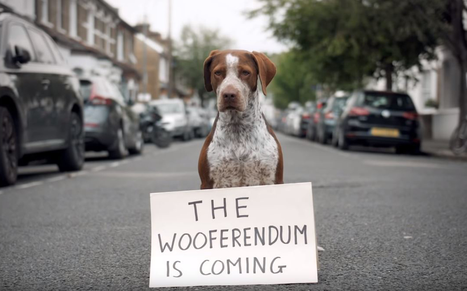 βρετανία-οι-σκύλοι-διαδηλώνουν-κατά-τ-2276364