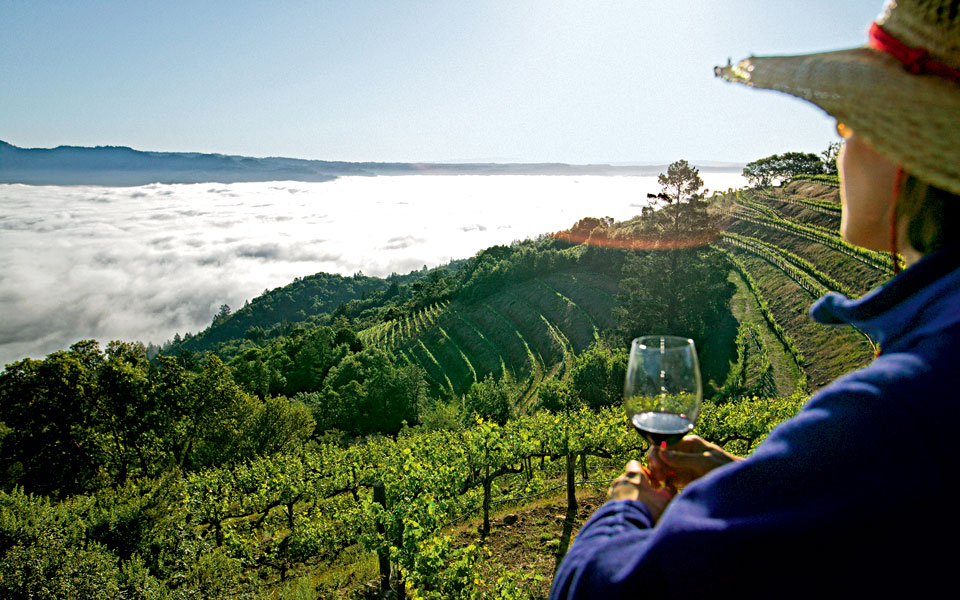 napa-valley-καλιφόρνια-για-οινόφιλους-2276292