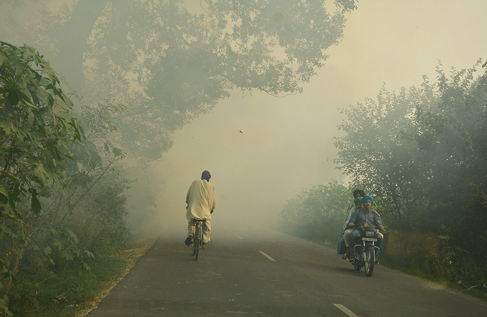η-φύτευση-δέντρων-δεν-επαρκεί-για-να-σω-2280669