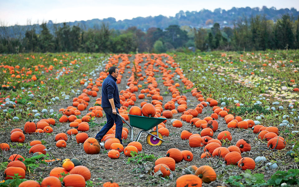 κεντ-μεγάλη-βρετανία-2280280