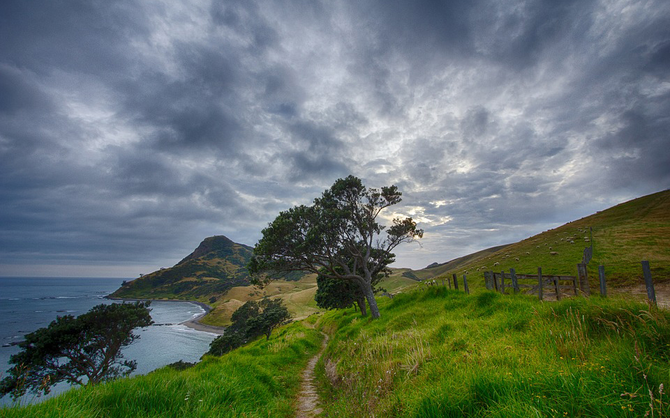 διεθνής-επιστημονική-ομάδα-θα-ερευνή-2276560