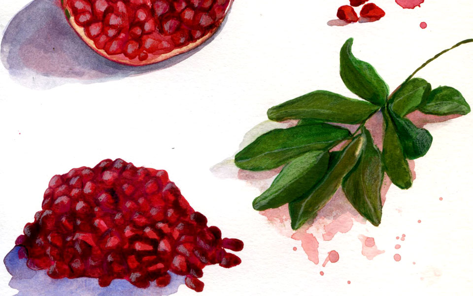 ρόδι-της-εποχής-2279668