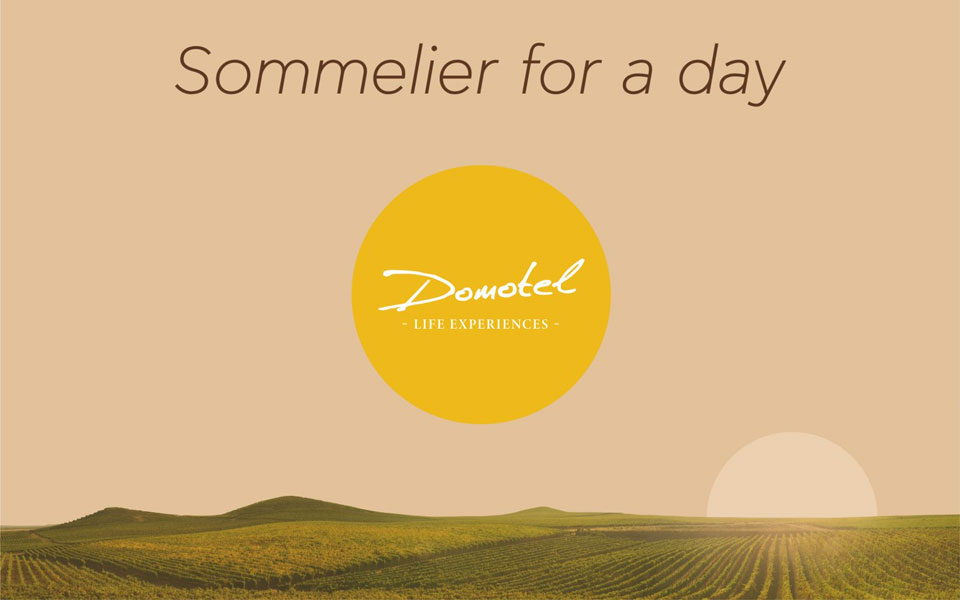 sommelier-for-a-day-2278437