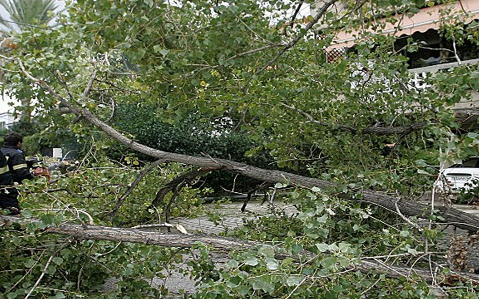 πτώσεις-δέντρων-από-τους-ισχυρούς-ανέ-2279993