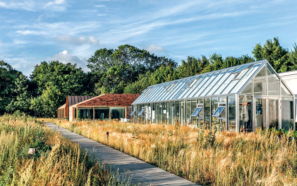 χωρίς-συστάσεις-2280323