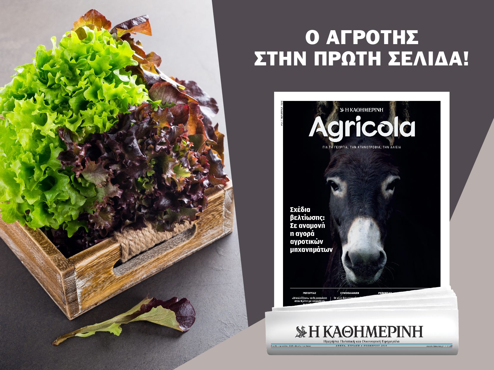 ο-αγρότης-στην-πρώτη-σελίδα-2280230